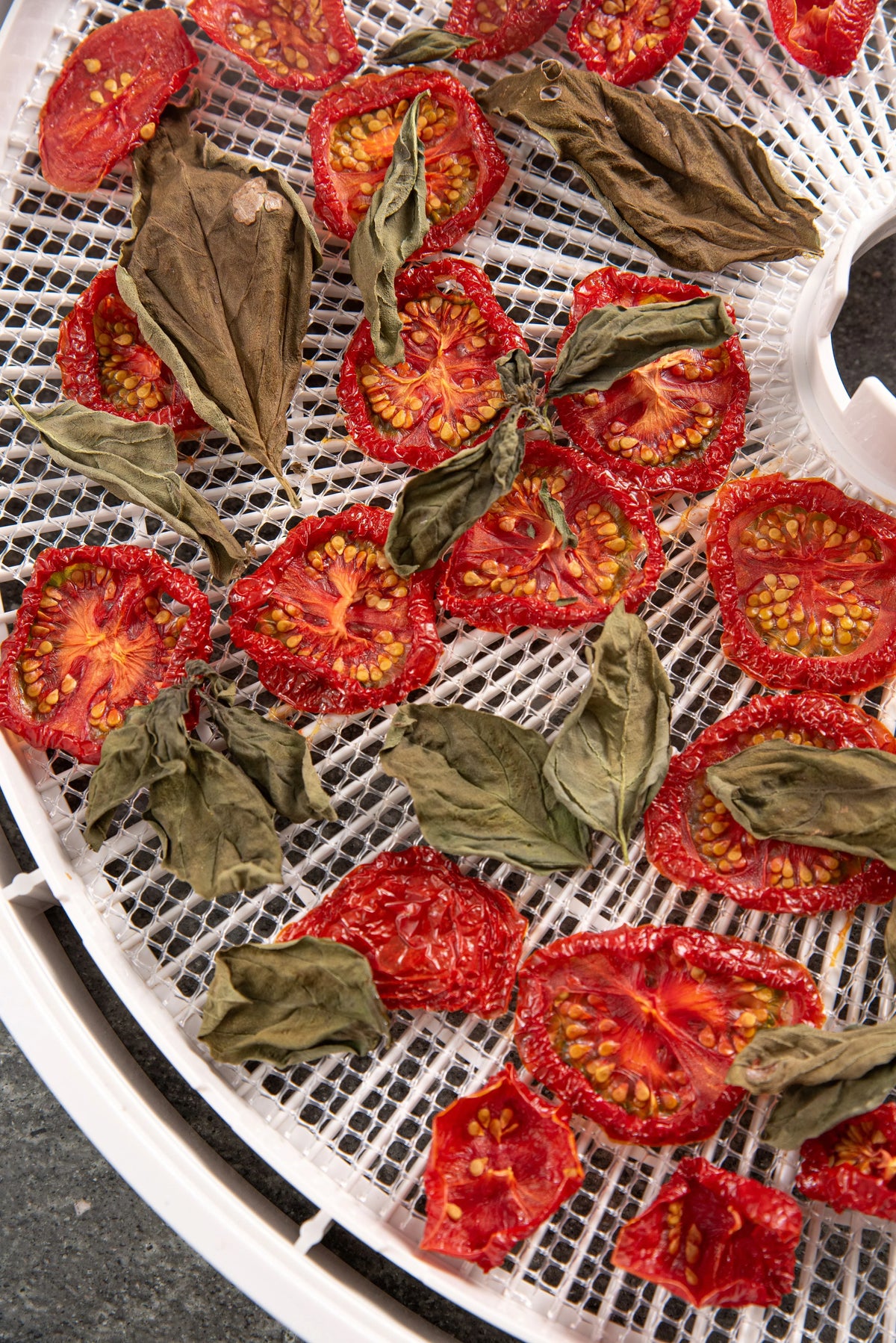 Summer Garden Mix (Savoury Dehydrated Veg Base)