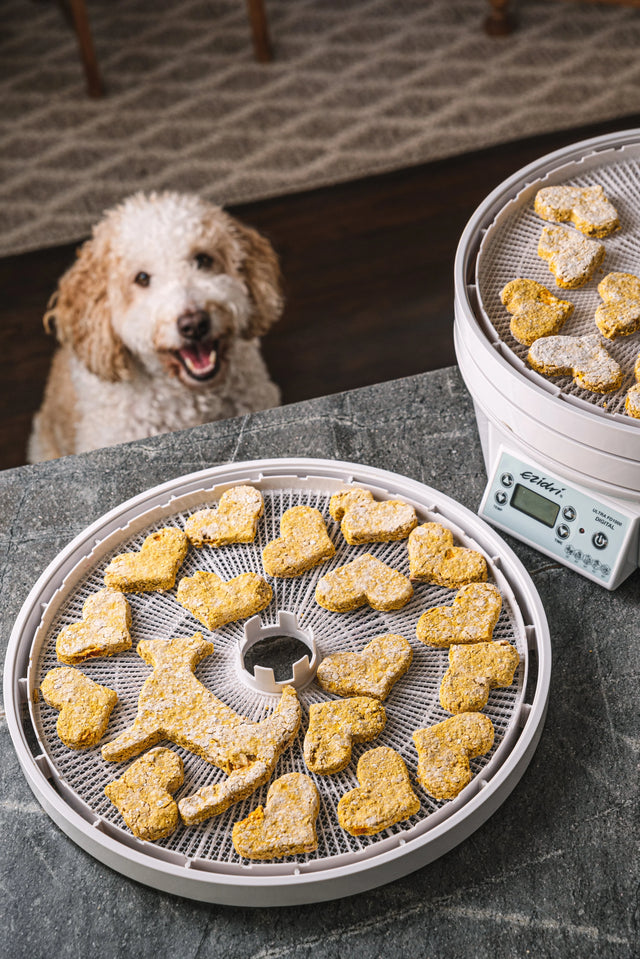 Hausgemachte Kürbis- und Erdnussbutter-Hundekekse